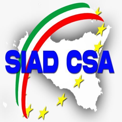 Video messaggio e nuove modalità di comunicazione del sindacato