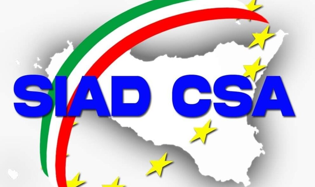 Auguri di Buon Natale a voi e alle vostre famiglie