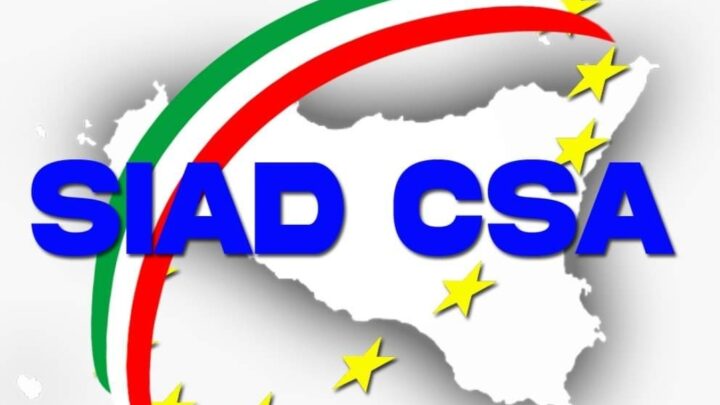 Auguri di Buon Natale a voi e alle vostre famiglie